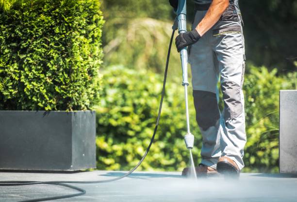 Best Fleet Vehicle Washing  in Green Knoll, NJ